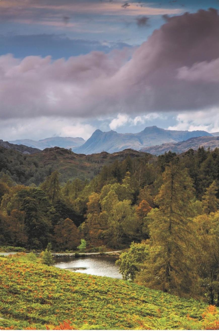 Yewfield Self Catering Apartments Hawkshead Exteriér fotografie